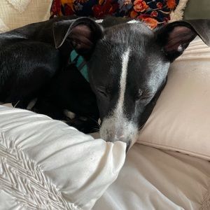 Meet your Posher, Nikki